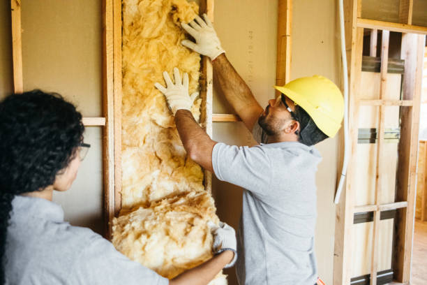 Best Insulation Replacement Services  in Brodhead, KY