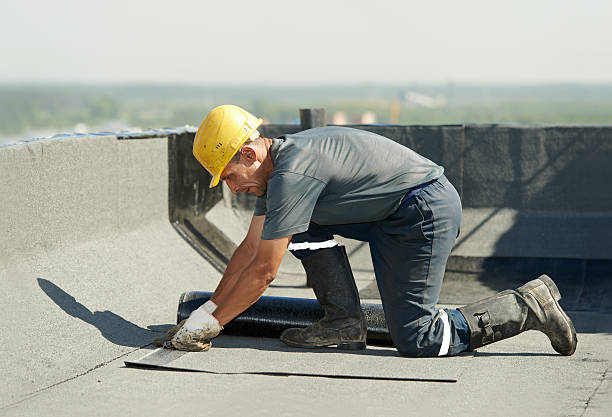 Best Local Insulation Services  in Brodhead, KY