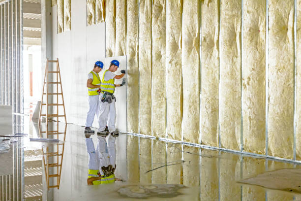 Best Insulation Repair Services  in Brodhead, KY